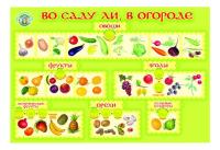 Обучающий плакат "Во саду ли, в огороде"