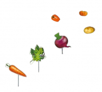 Комплект табличек "Огород" для грядок 12 предметов