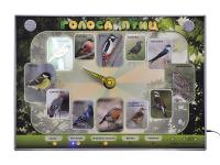 Электрифицированный стенд-часы "Голоса птиц" с комплектом дидактического материала