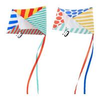 Набор из 2 воздушных змеев