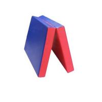 Мат двухсекционный складной (120х150х10 см)