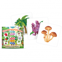 Набор карточек "Ботанический сад"