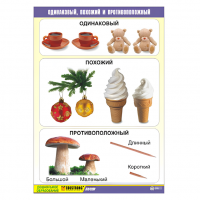 Таблица демонстрационная "Одинаковый, похожий и противоположный"