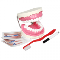 Игровой комплект "Чистим зубы"