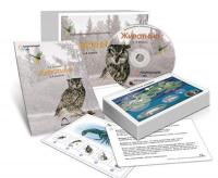 Комбинированное наглядное пособие «Животные»