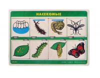 Рамка-вкладыши "Насекомые" картон
